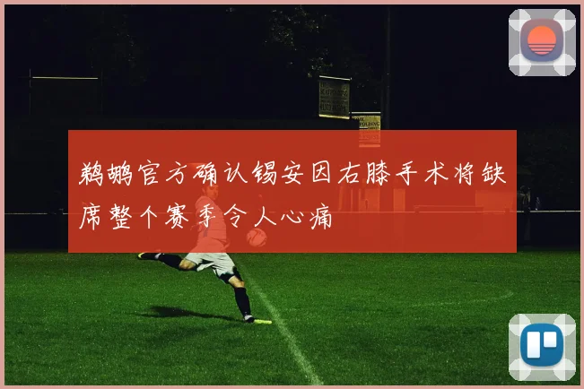 鹈鹕官方确认锡安因右膝手术将缺席整个赛季令人心痛