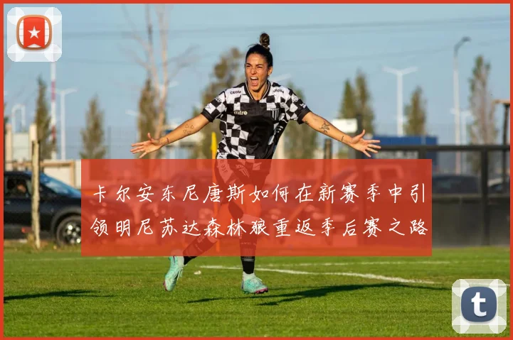 卡尔安东尼唐斯如何在新赛季中引领明尼苏达森林狼重返季后赛之路