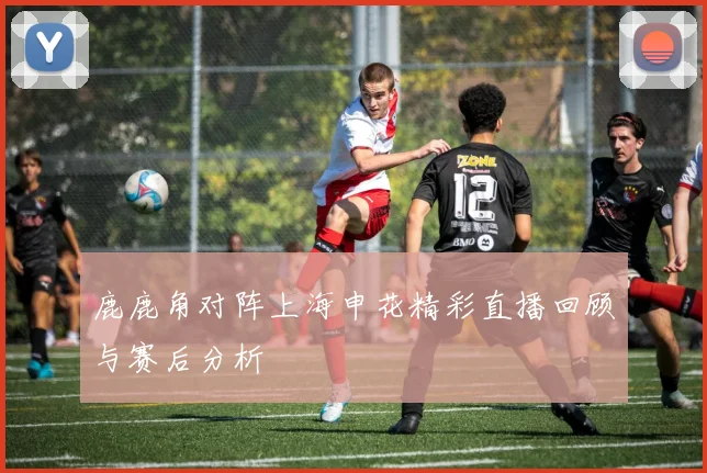 鹿鹿角对阵上海申花精彩直播回顾与赛后分析