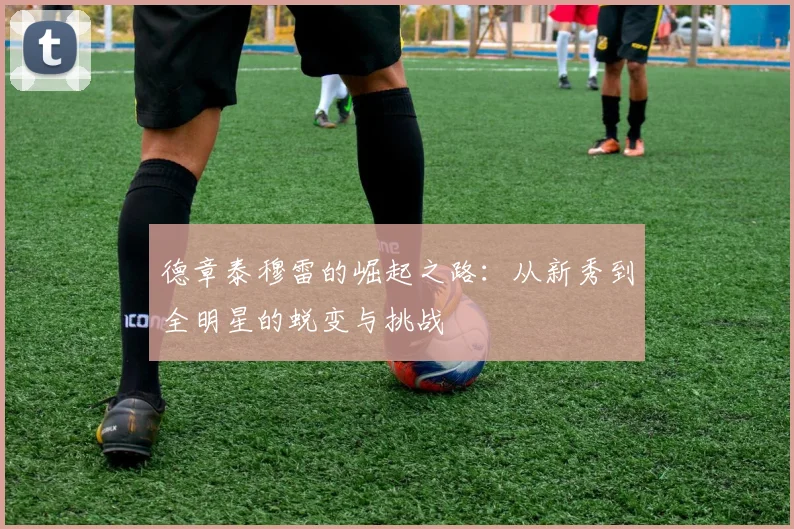 德章泰穆雷的崛起之路：从新秀到全明星的蜕变与挑战