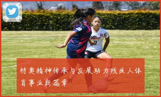 特奥精神传承与发展助力残疾人体育事业新篇章