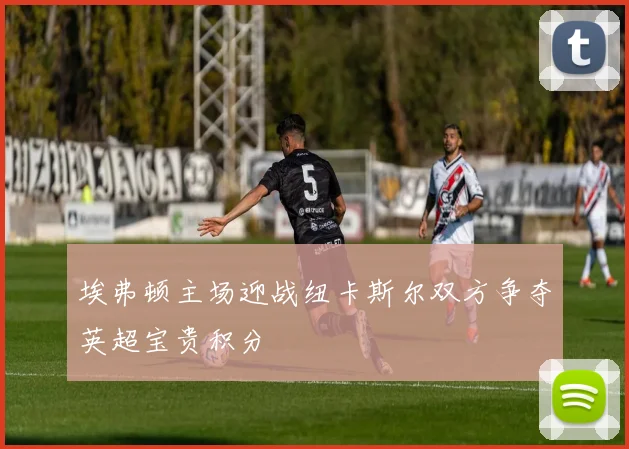 埃弗顿主场迎战纽卡斯尔双方争夺英超宝贵积分