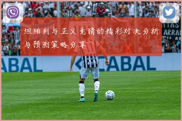 坦珀利与正义竞猜的精彩对决分析与预测策略分享